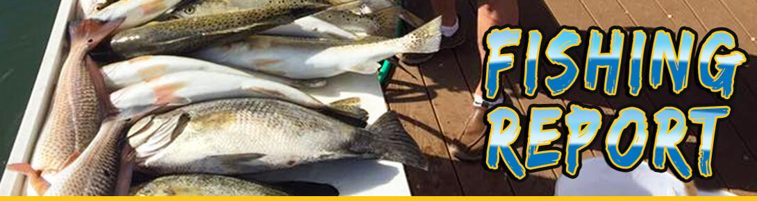 Crystal River Fishing Report