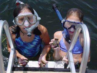 Crystal River Scalloping